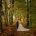 Nunsmere Hall gay wedding in woods